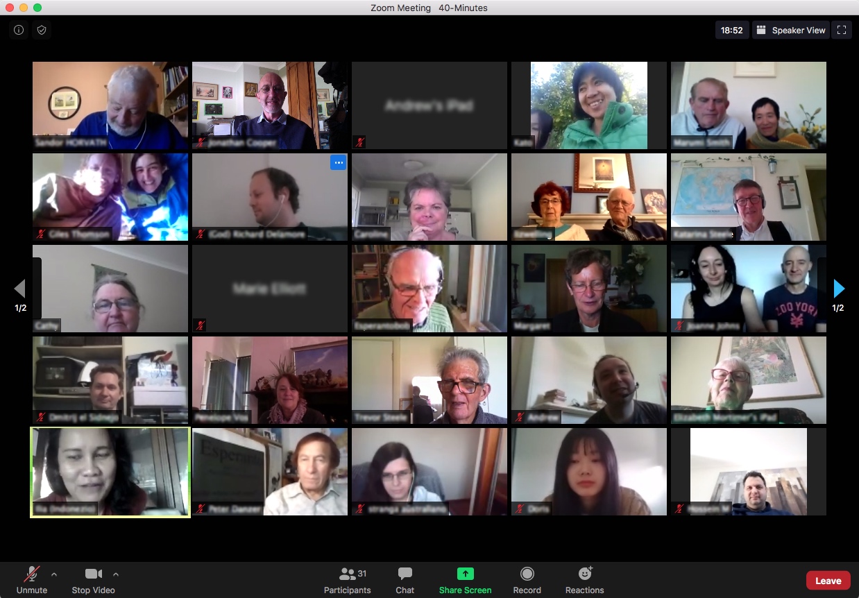 Screenshot of Zoom meeting